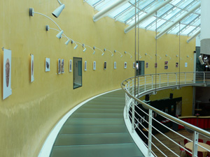 galerie forum meyrin